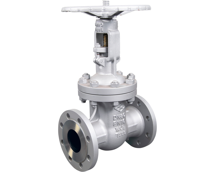 Cast steel A216WCB gate valve 147 RF PN16 DIN F5 DN50